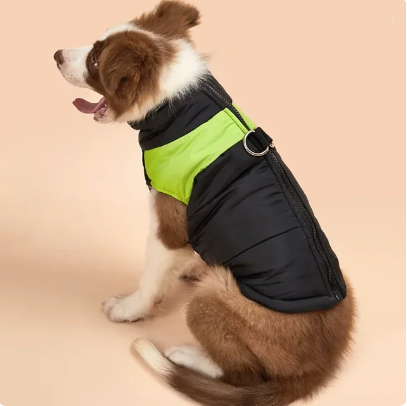 Waterproof Warm Winter Dog Zipper Vest