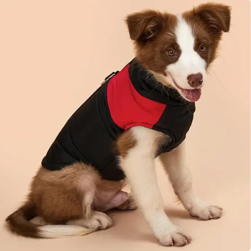 Waterproof Warm Winter Dog Zipper Vest